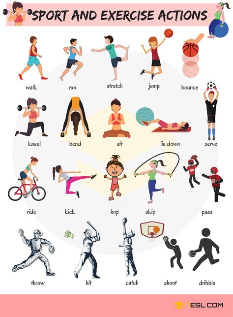 sport type dan word|Sport .
